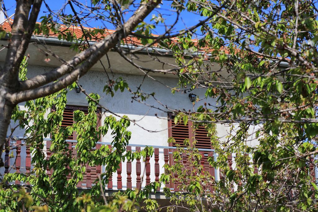 Apartment Ante Bibinje Exterior foto